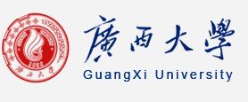 玩球官网新手怎么玩信息网络中心