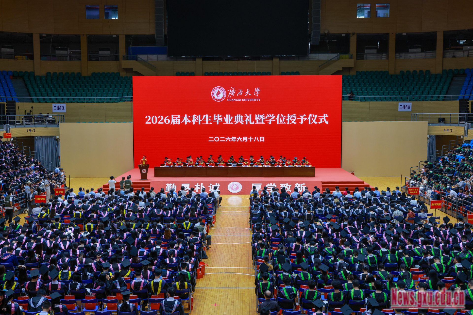 2026-06-18 阅读数